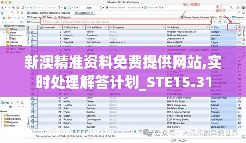 新澳精准资料免费提供网站,实时处理解答计划_STE15.31