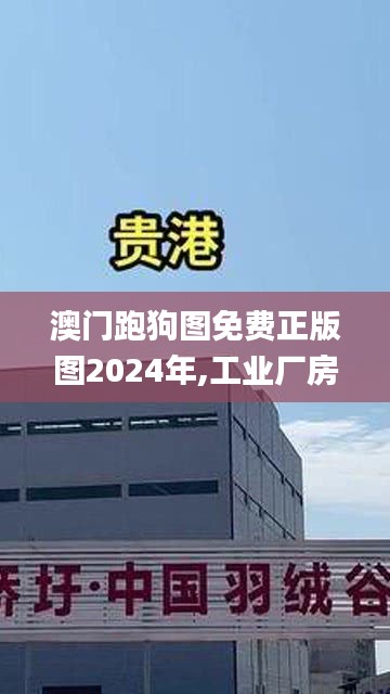 澳门跑狗图免费正版图2024年,工业厂房监控_LXE15.69