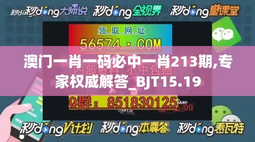 澳门一肖一码必中一肖213期,专家权威解答_BJT15.19