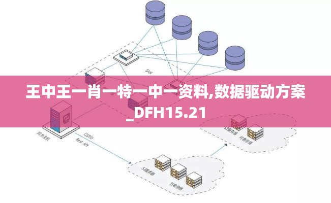 王中王一肖一特一中一资料,数据驱动方案_DFH15.21