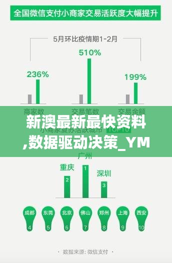 新澳最新最快资料,数据驱动决策_YMZ15.35