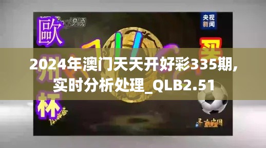 2024年澳门天天开好彩335期,实时分析处理_QLB2.51