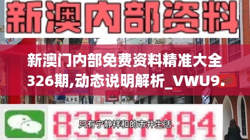 新澳门内部免费资料精准大全326期,动态说明解析_VWU9.72