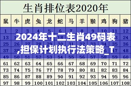 2024年十二生肖49码表,担保计划执行法策略_TEE15.41