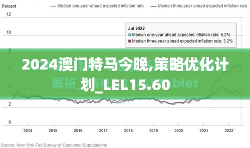 2024澳门特马今晚,策略优化计划_LEL15.60