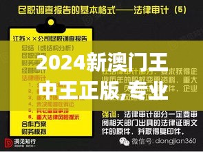 2024新澳门王中王正版,专业调查具体解析_XSA15.28