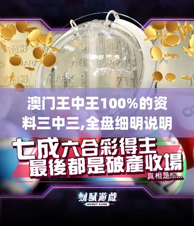 澳门王中王100%的资料三中三,全盘细明说明_TFC15.85