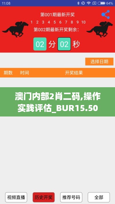 澳门内部2肖二码,操作实践评估_BUR15.50