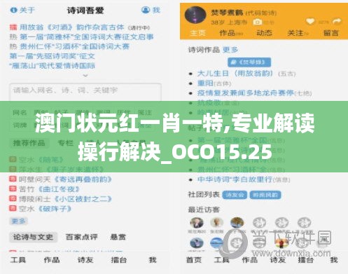 澳门状元红一肖一特,专业解读操行解决_OCO15.25