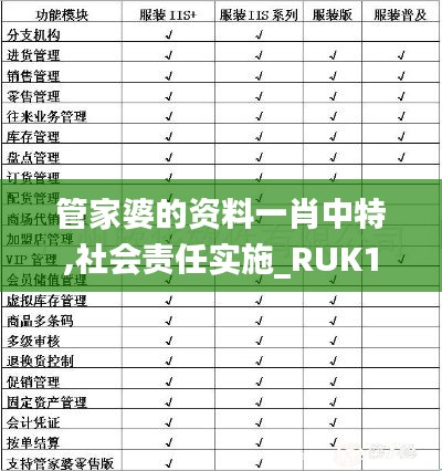 管家婆的资料一肖中特,社会责任实施_RUK15.8