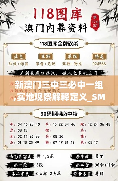 新澳门三中三必中一组,实地观察解释定义_SMK15.75