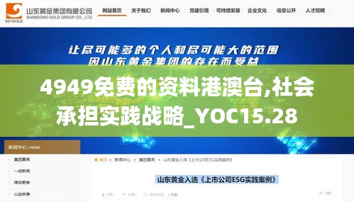 4949免费的资料港澳台,社会承担实践战略_YOC15.28