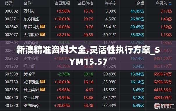 新澳精准资料大全,灵活性执行方案_SYM15.57