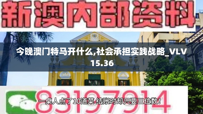 今晚澳门特马开什么,社会承担实践战略_VLV15.36