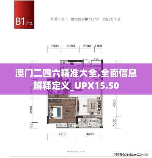 澳门二四六精准大全,全面信息解释定义_UPX15.50