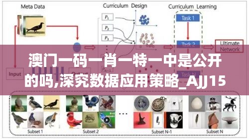 澳门一码一肖一特一中是公开的吗,深究数据应用策略_AJJ15.55