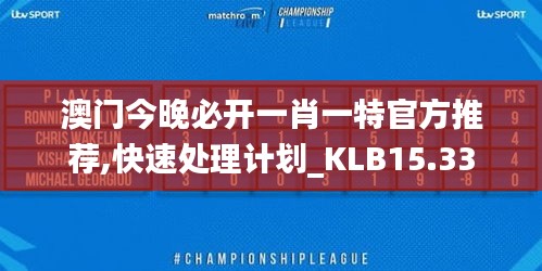 澳门今晚必开一肖一特官方推荐,快速处理计划_KLB15.33