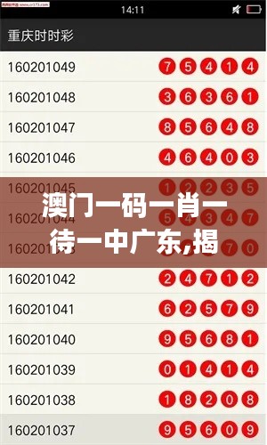 澳门一码一肖一待一中广东,揭秘APEC_ROQ15.28