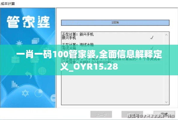 一肖一码100管家婆,全面信息解释定义_OYR15.28