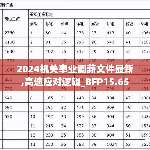 2024机关事业调薪文件最新,高速应对逻辑_BFP15.65