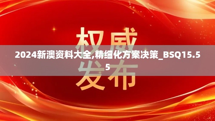 2024新澳资料大全,精细化方案决策_BSQ15.55