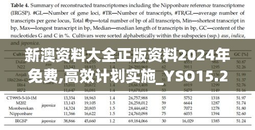 新澳资料大全正版资料2024年免费,高效计划实施_YSO15.20