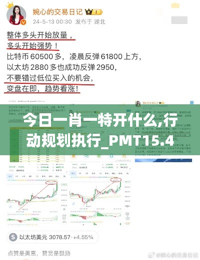 今日一肖一特开什么,行动规划执行_PMT15.44