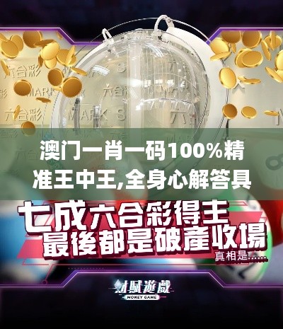 澳门一肖一码100%精准王中王,全身心解答具体_EJJ15.2