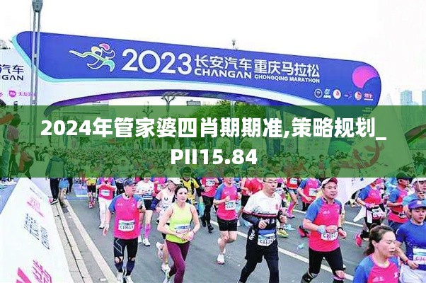 2024年管家婆四肖期期准,策略规划_PII15.84