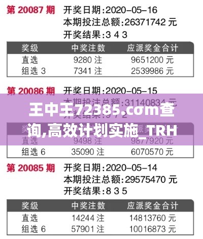 王中王72385.cσm查询,高效计划实施_TRH15.77