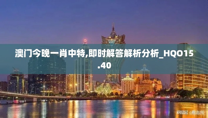 澳门今晚一肖中特,即时解答解析分析_HQO15.40