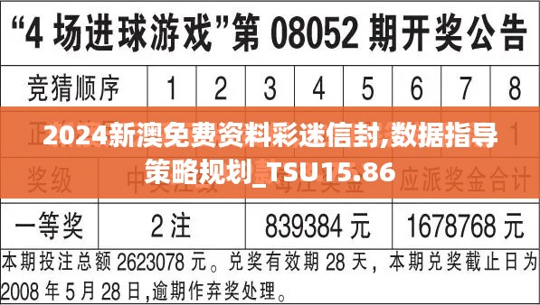 2024新澳免费资料彩迷信封,数据指导策略规划_TSU15.86