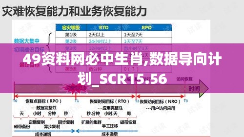 49资料网必中生肖,数据导向计划_SCR15.56