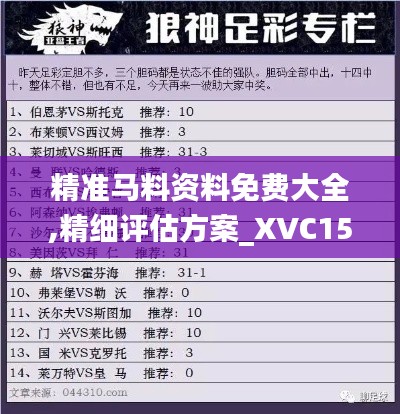 精准马料资料免费大全,精细评估方案_XVC15.84