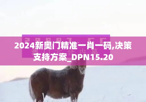 2024新奥门精准一肖一码,决策支持方案_DPN15.20