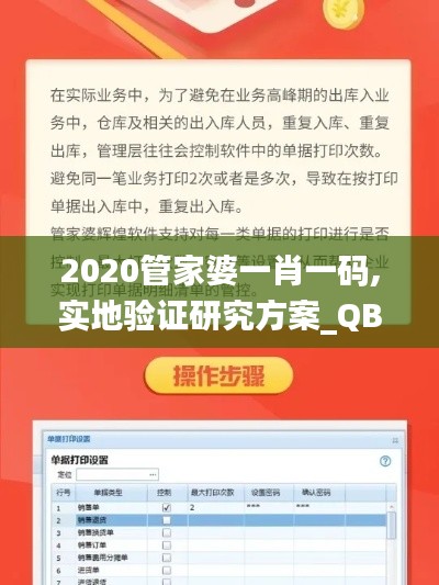 2020管家婆一肖一码,实地验证研究方案_QBK15.92