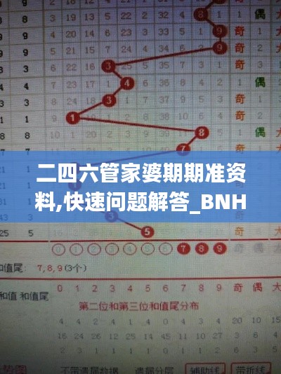 二四六管家婆期期准资料,快速问题解答_BNH15.1