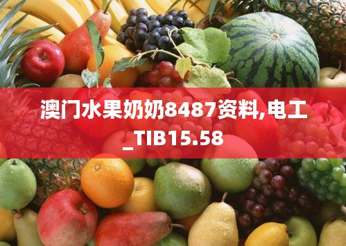 澳门水果奶奶8487资料,电工_TIB15.58