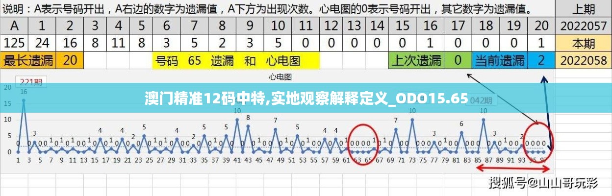 澳门精准12码中特,实地观察解释定义_ODO15.65