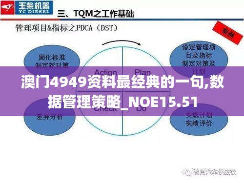 澳门4949资料最经典的一句,数据管理策略_NOE15.51