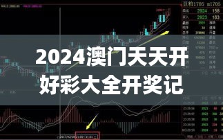 2024澳门天天开好彩大全开奖记录走势图,实地观察解释定义_KZX15.45