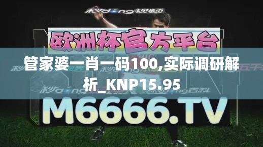 管家婆一肖一码100,实际调研解析_KNP15.95