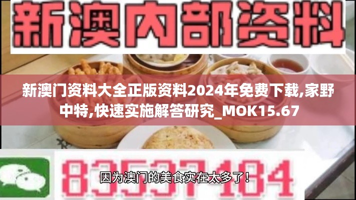 新澳门资料大全正版资料2024年免费下载,家野中特,快速实施解答研究_MOK15.67