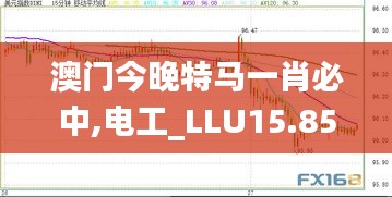 澳门今晚特马一肖必中,电工_LLU15.85