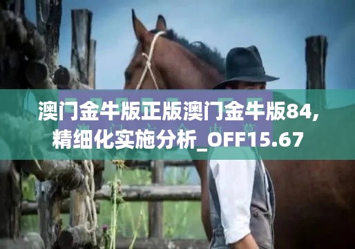 澳门金牛版正版澳门金牛版84,精细化实施分析_OFF15.67