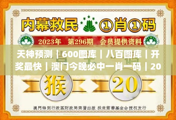 天神预测｜600图库｜八百图库｜开奖最快｜澳门今晚必中一肖一码｜2024王中王开奖十,高效性设计规划_OLG15.91