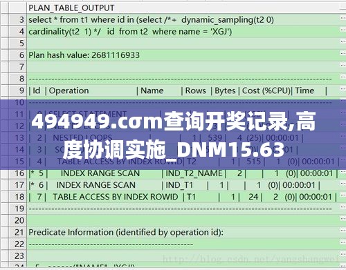 494949.cσm查询开奖记录,高度协调实施_DNM15.63