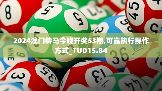 2024澳门特马今晚开奖53期,可靠执行操作方式_TUD15.84