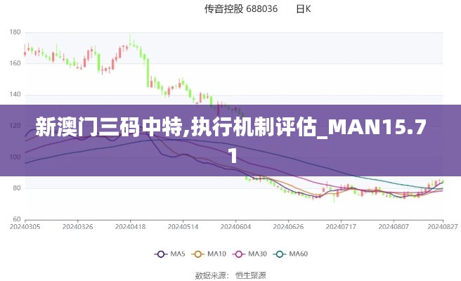 新澳门三码中特,执行机制评估_MAN15.71