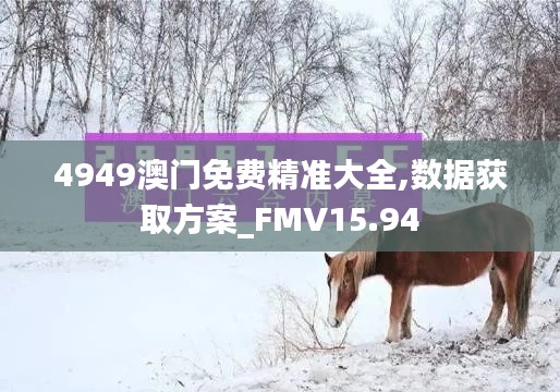 4949澳门免费精准大全,数据获取方案_FMV15.94